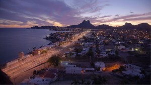 Auto Fused Open Sharp Creston Lights