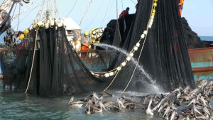 Why he is spraying I do not know, the net is already closed