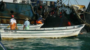 Riberenos often ask for free  bait from the Commercial boats