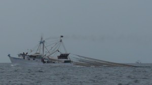 Shrimp Trawler just south of Topolobampo