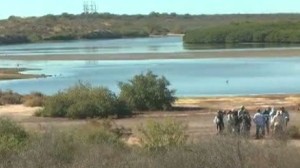 Estero Dead Guy