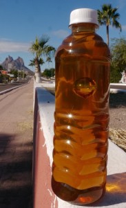 Honey Bubble Teta Kawi