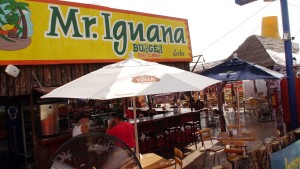 Mr Iguanas San Carlos 4